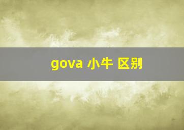 gova 小牛 区别